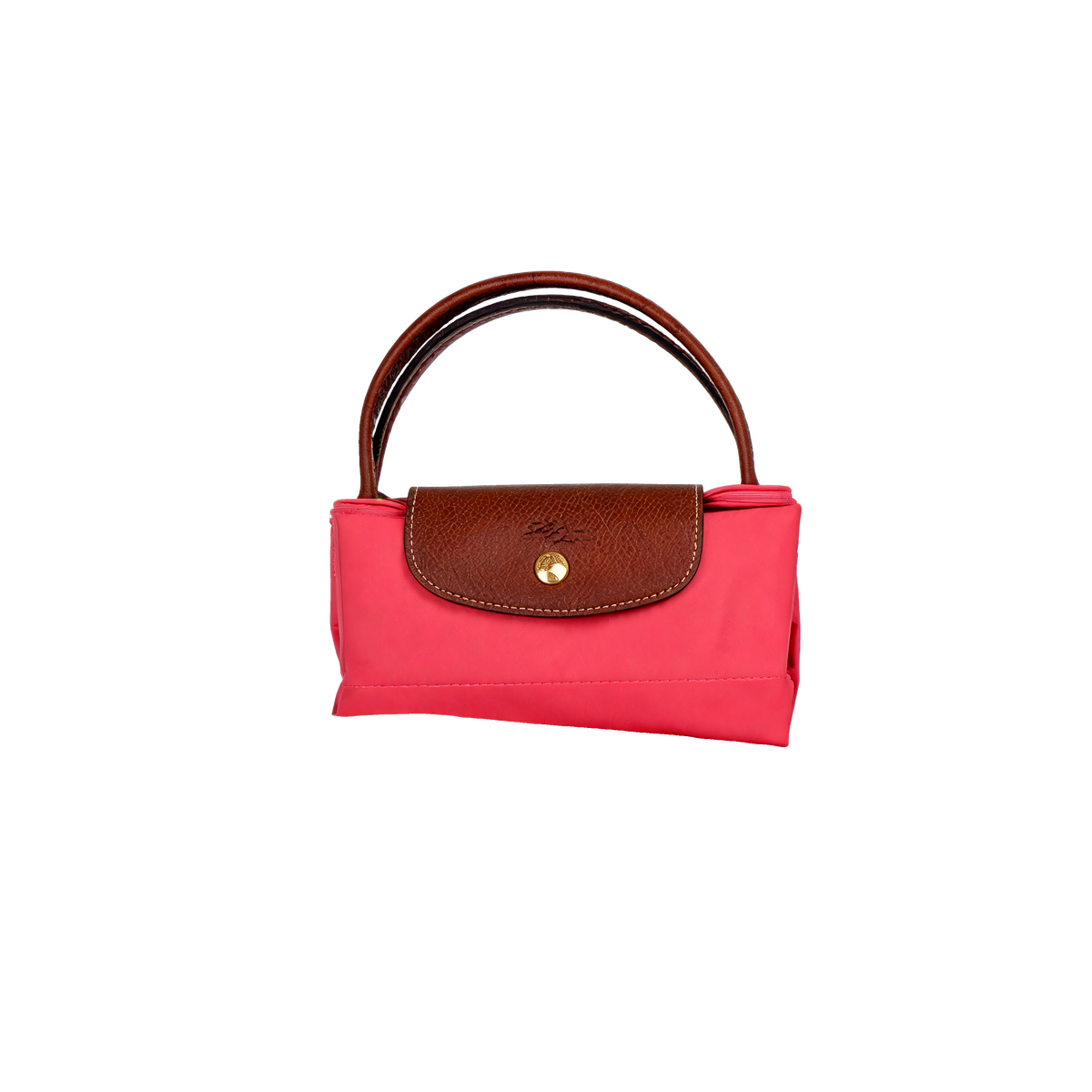 Longchamp Bag